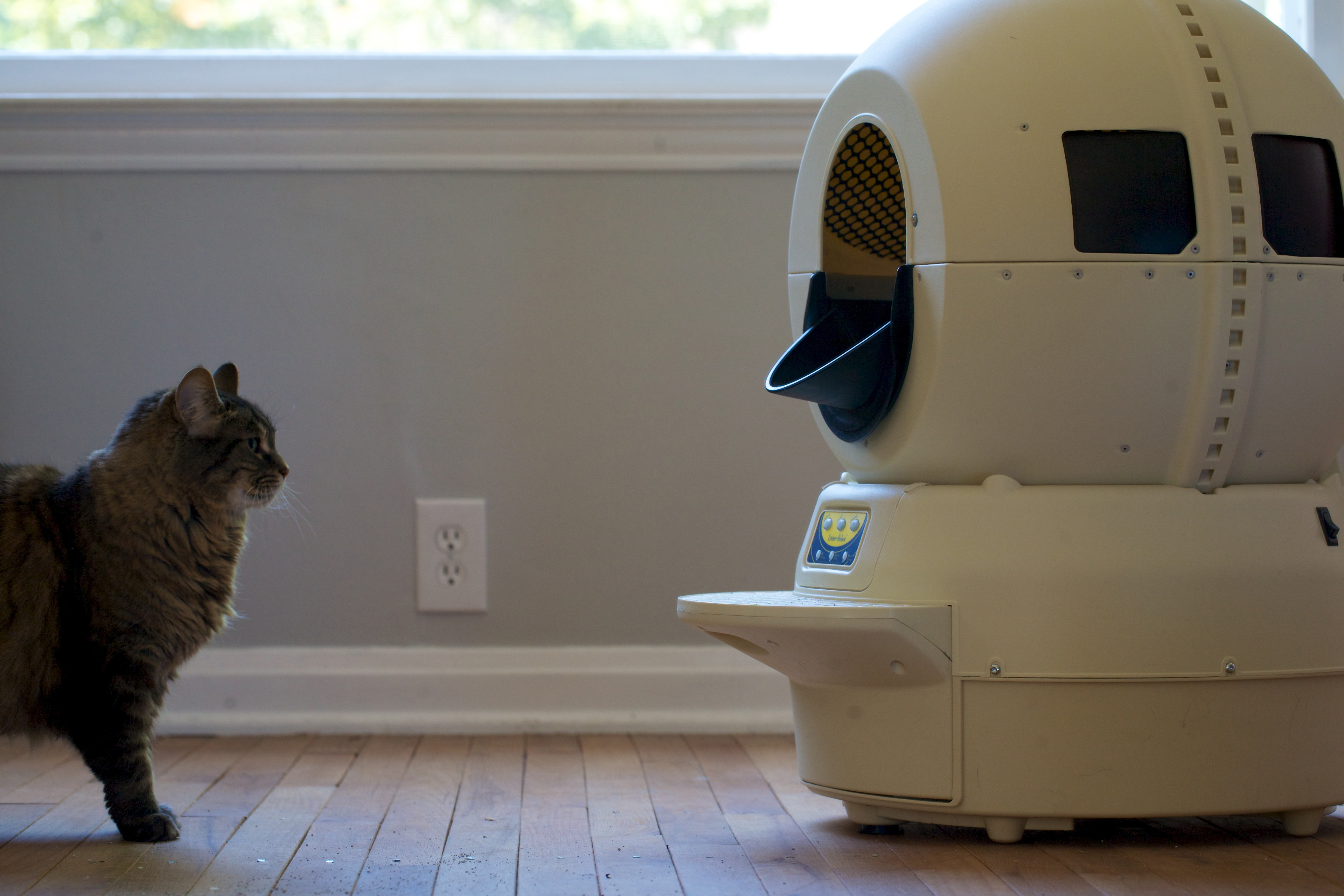 Business As Usual For Litter-Robot, SkyMall Retailer - Will Litter Robot Be On Sale For Black Friday
