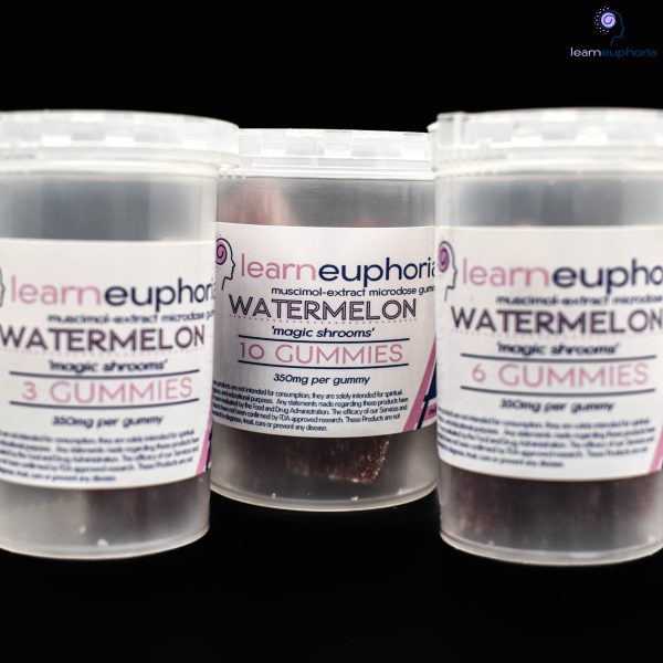 Buy Mushroom Capsules | Mushroom and Hemp Dispensary Tampa - Area 52 Mushroom Gummies Near Me
