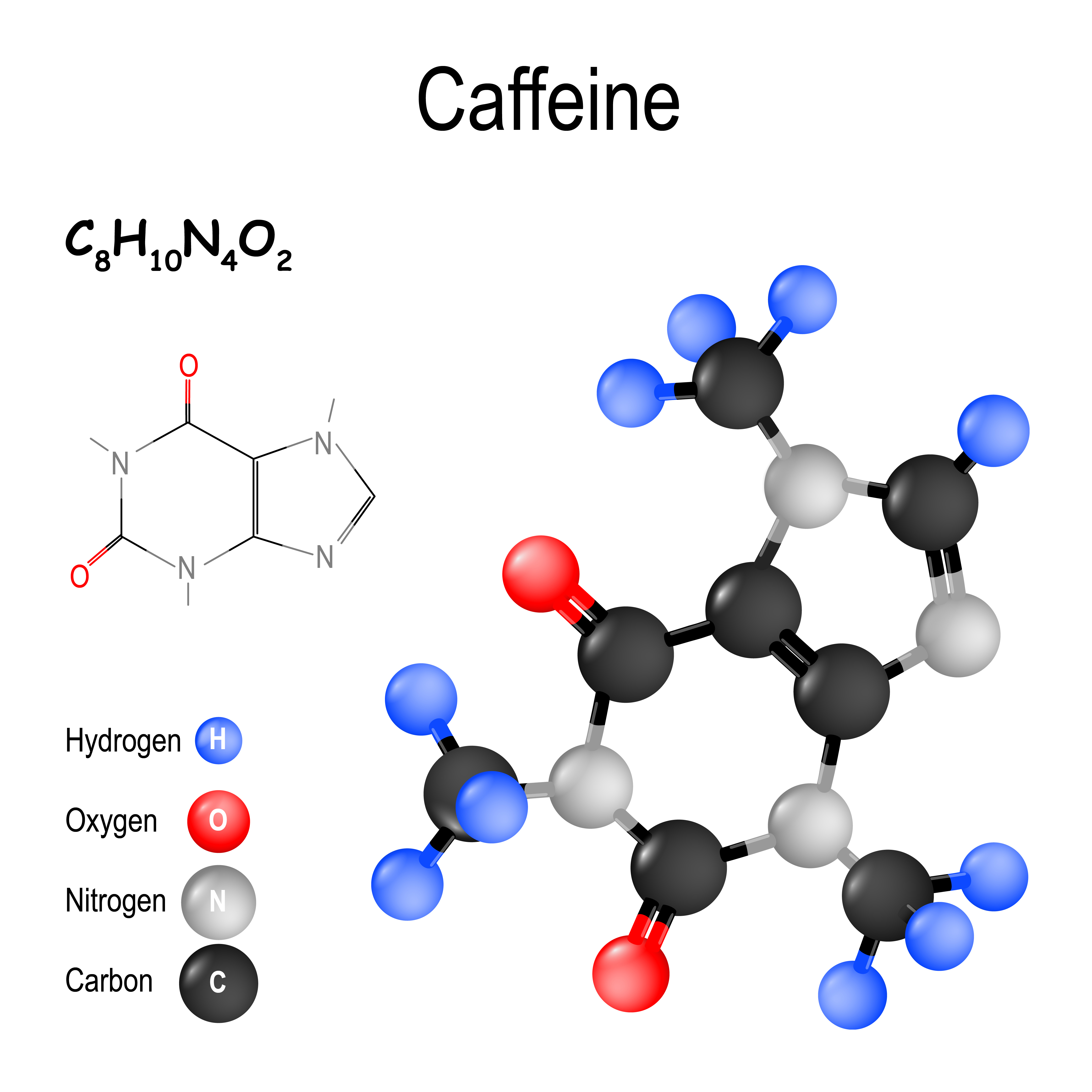 Does Caffeine Raise Estrogen Levels In Males