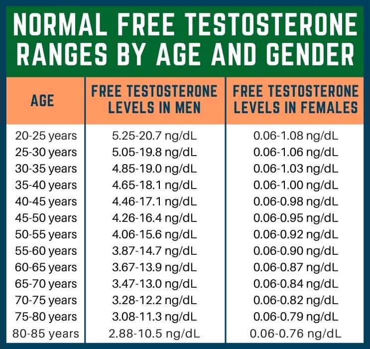 Calculate Your Free & Bioavailable Testosterone Levels | HFS - Normal Testosterone But Low Free Testosterone
