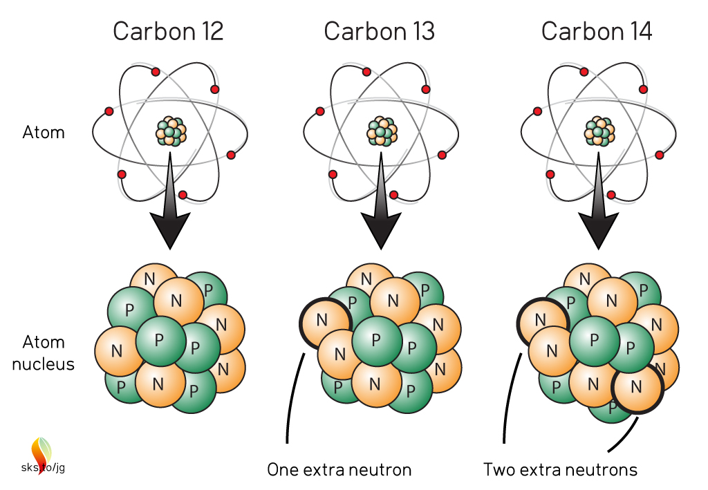 Carbon Isotopes - Isotopes Of Carbon Differ With Respect To The Number Of