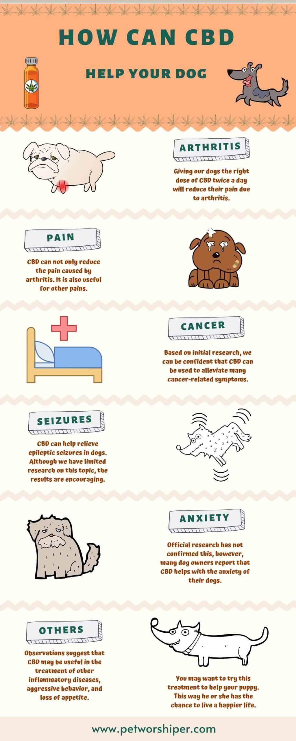 How Long Does Cbd Last In Dogs