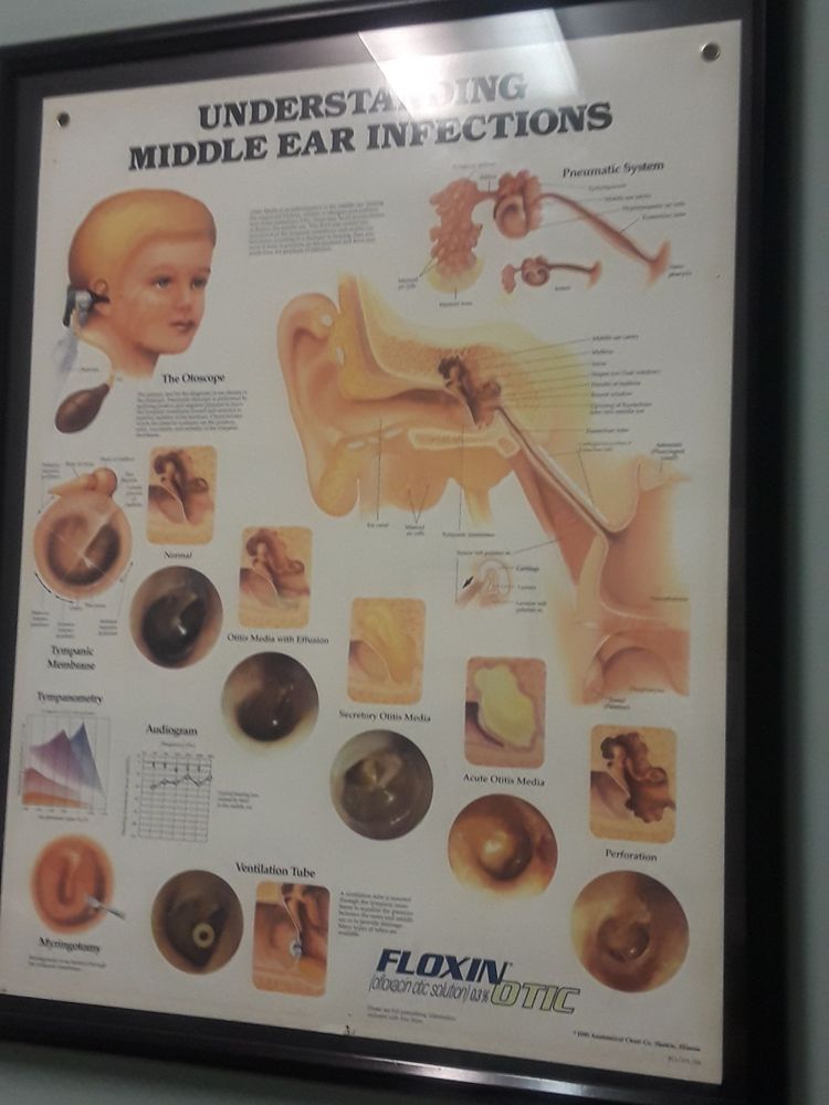 Collin County Ear Nose & Throat