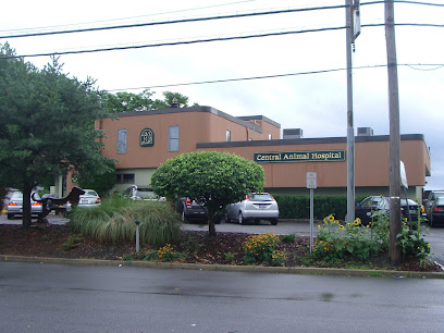 Central Animal Hospital Scarsdale New York
