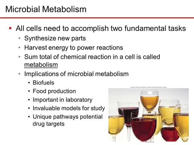 Ch. 6 Microbial Metabolism Part I - Choose The Outcomes Of Microbial Metabolism.