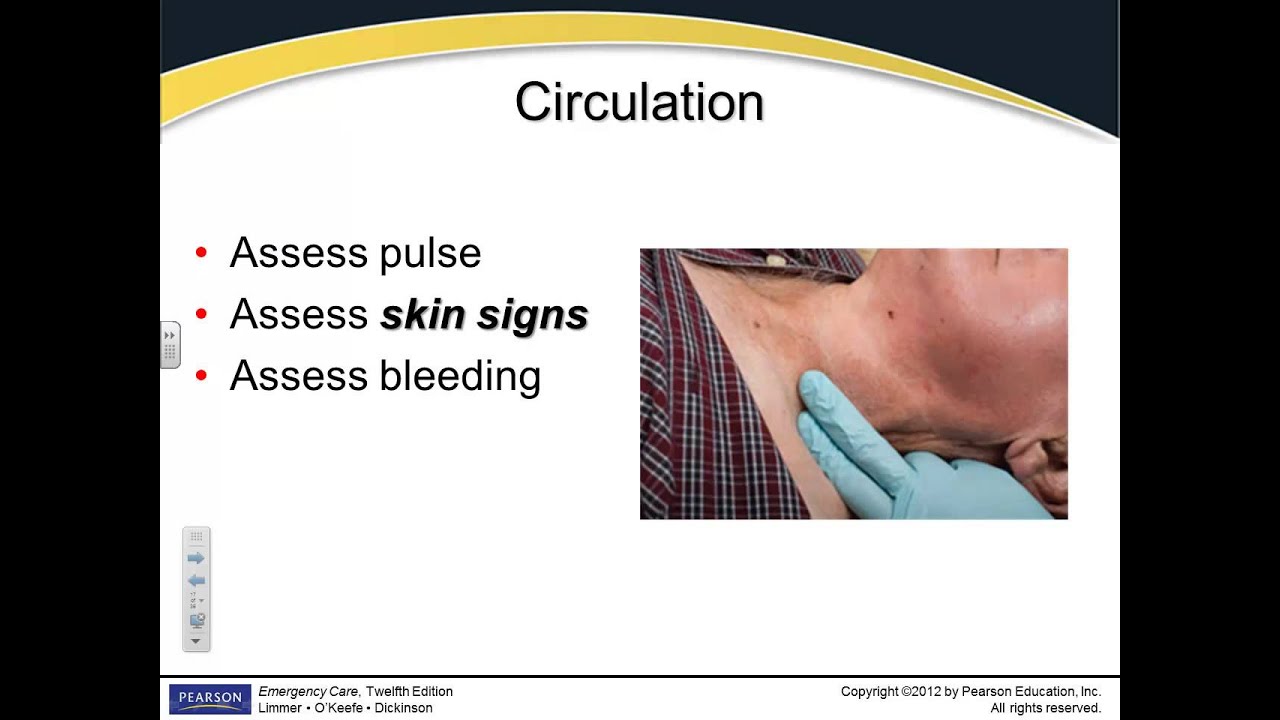 Chapter 11 - Primary Assessment - YouTube - During The Primary Assessment Circulation Is Evaluated By Assessing
