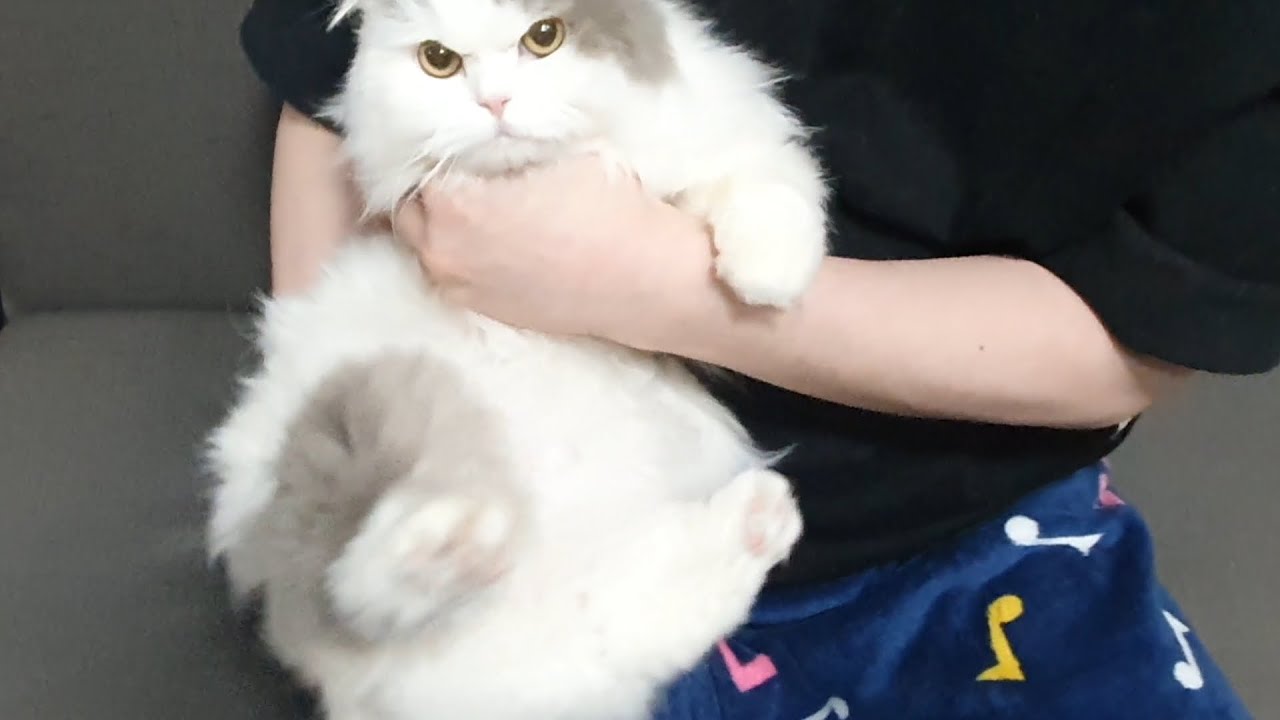 check out this fluff pillow - YouTube - Fluff Co Pillows Reviews Consumer Reports