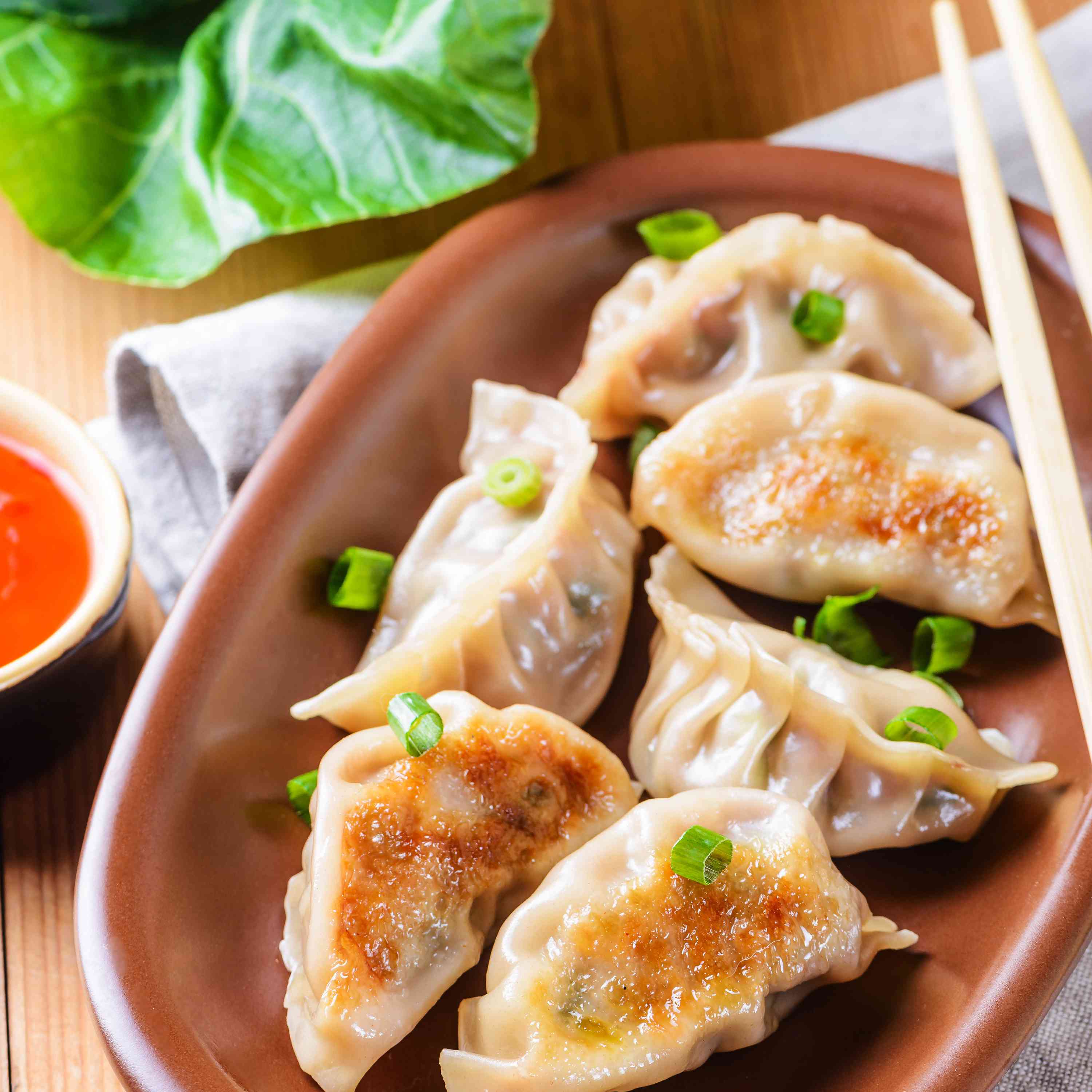 Chinese Pan-Fried Dumpling Recipe - Dumpling Cooking Set By Trending Tech Company