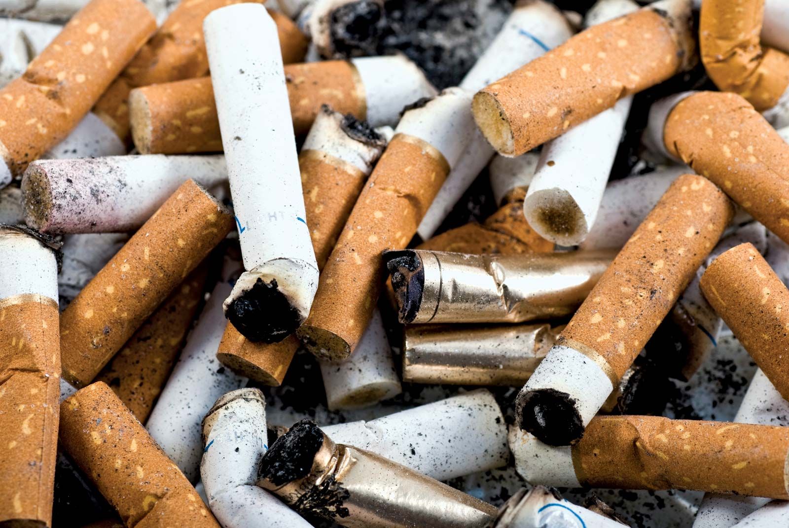 Cigarette | Definition, Facts, & Health Effects | Britannica - What Is Cigarette Paper Atrophic Scarring