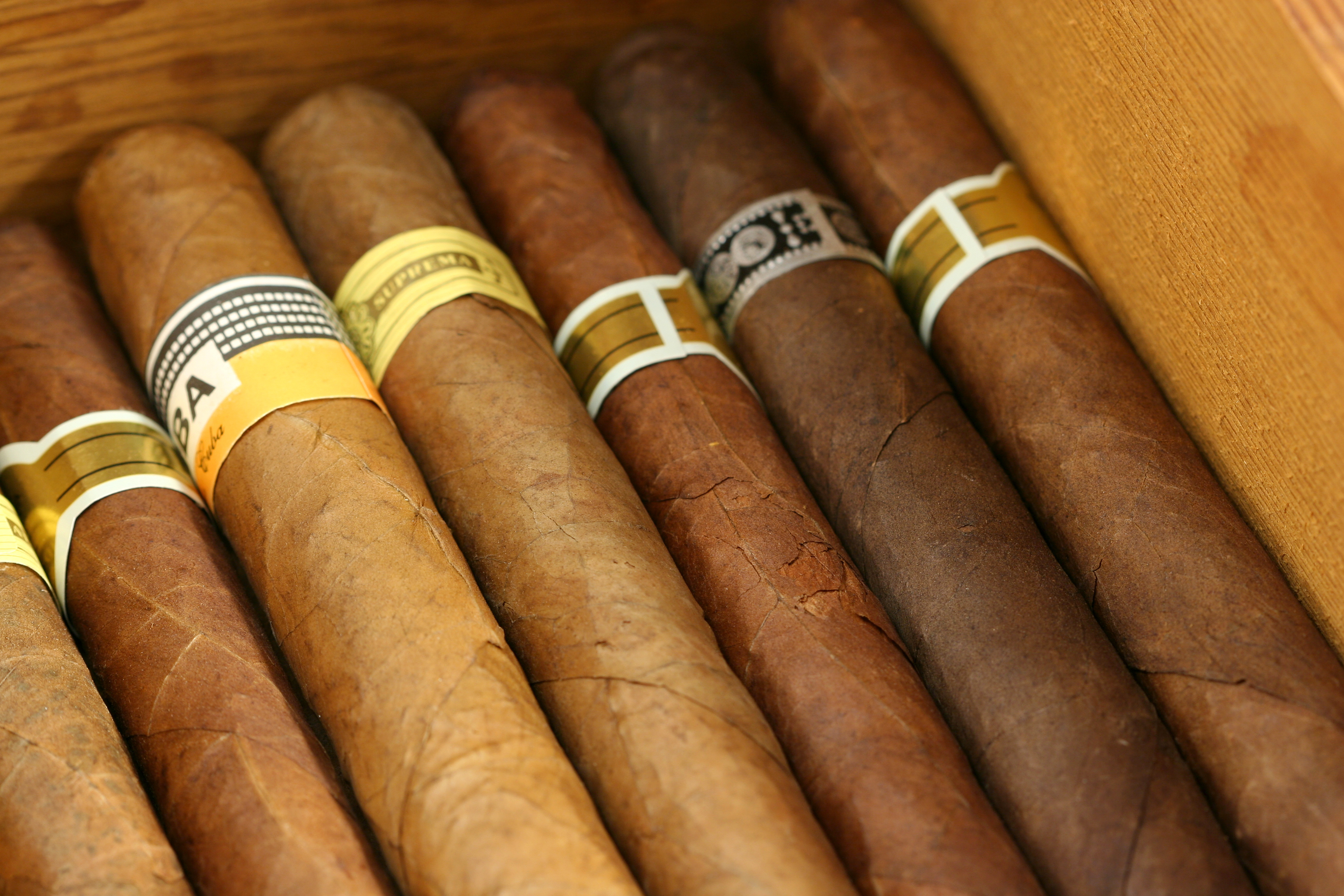Cigar Of The Year Last 10 Years