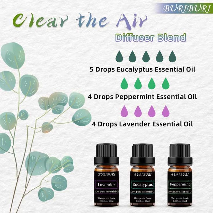 Clean The Air Diffuser Blends - Eucalyptus Lavender Peppermint - Essential Oils For Focus And Productivity