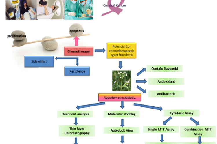 Akeega - Concomitant Use With Chemotherapy