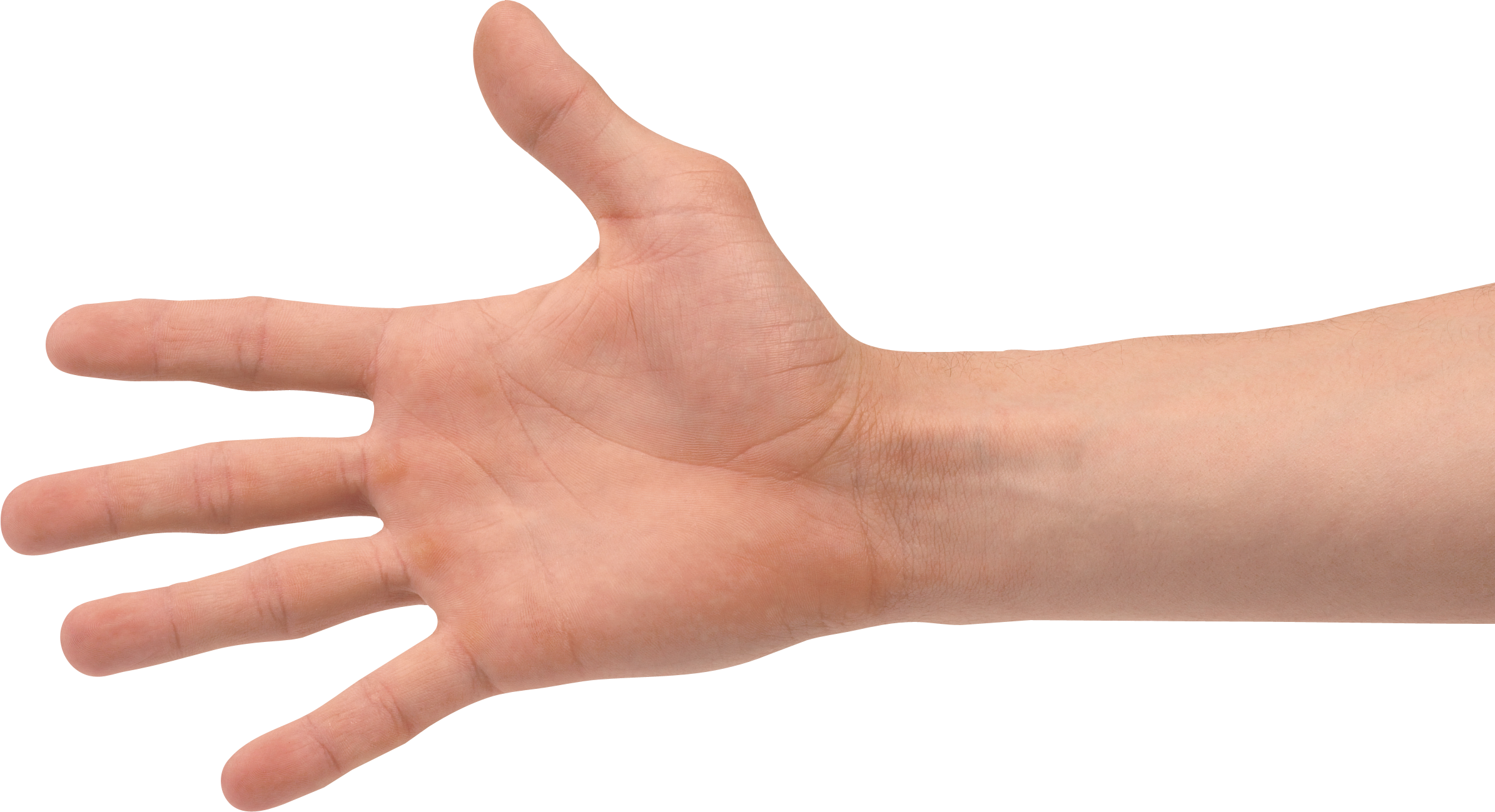 Collection of PNG HD Of Hands. | PlusPNG - Hand Held Poker Games For Seniors