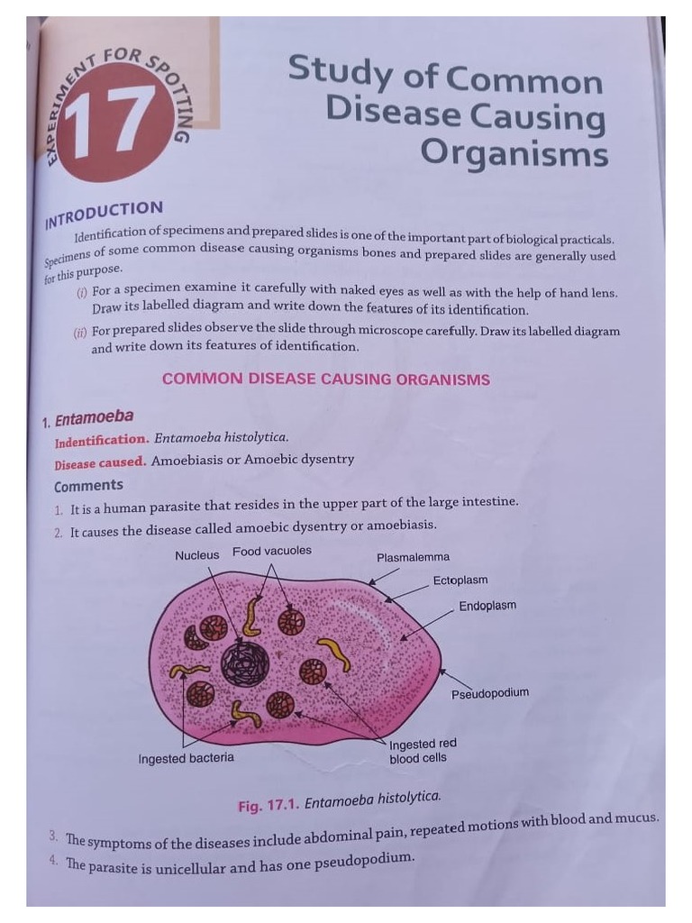 Study Of All Aspects Of Diseases