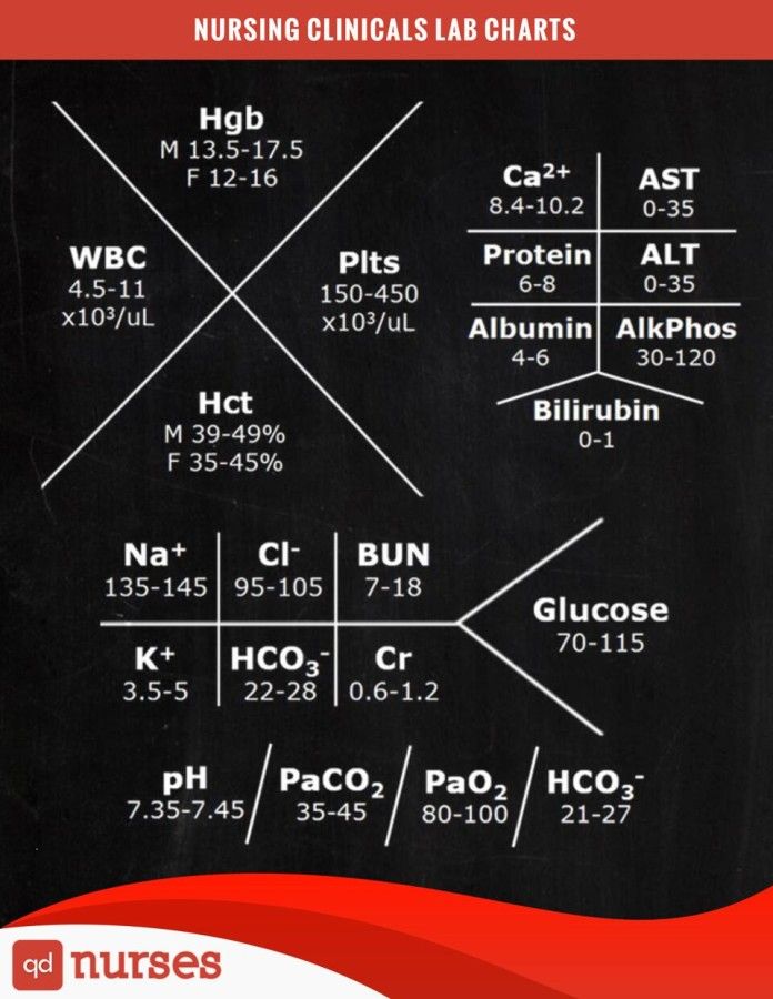 Does Comprehensive Metabolic Panel Include Cholesterol