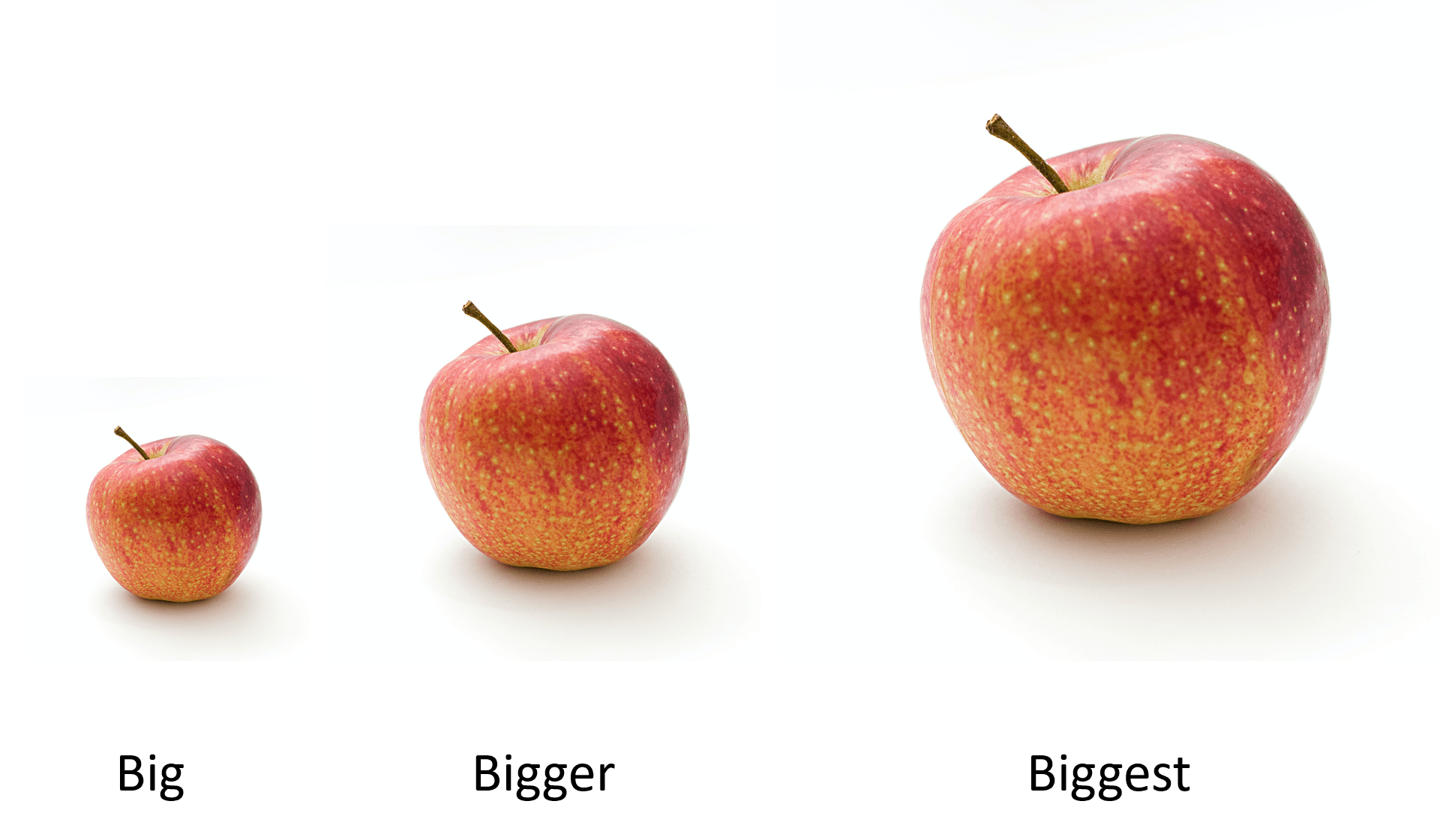 Comparatives and Superlatives for Primary School Teachers - Bigger By The Day Muscle Builder With Turkesterone