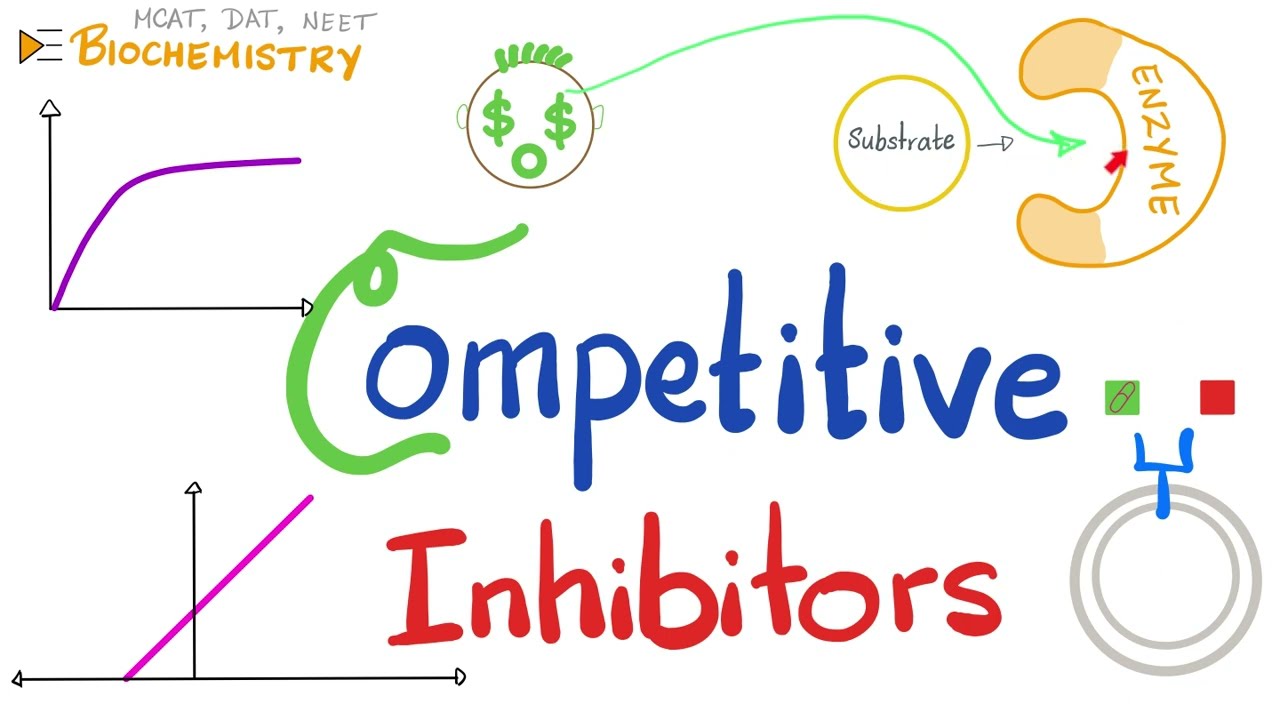 Competitive Inhibition (Competitive Inhibitors)...Enzyme Kinetics - What Is True About Competitive Inhibitors
