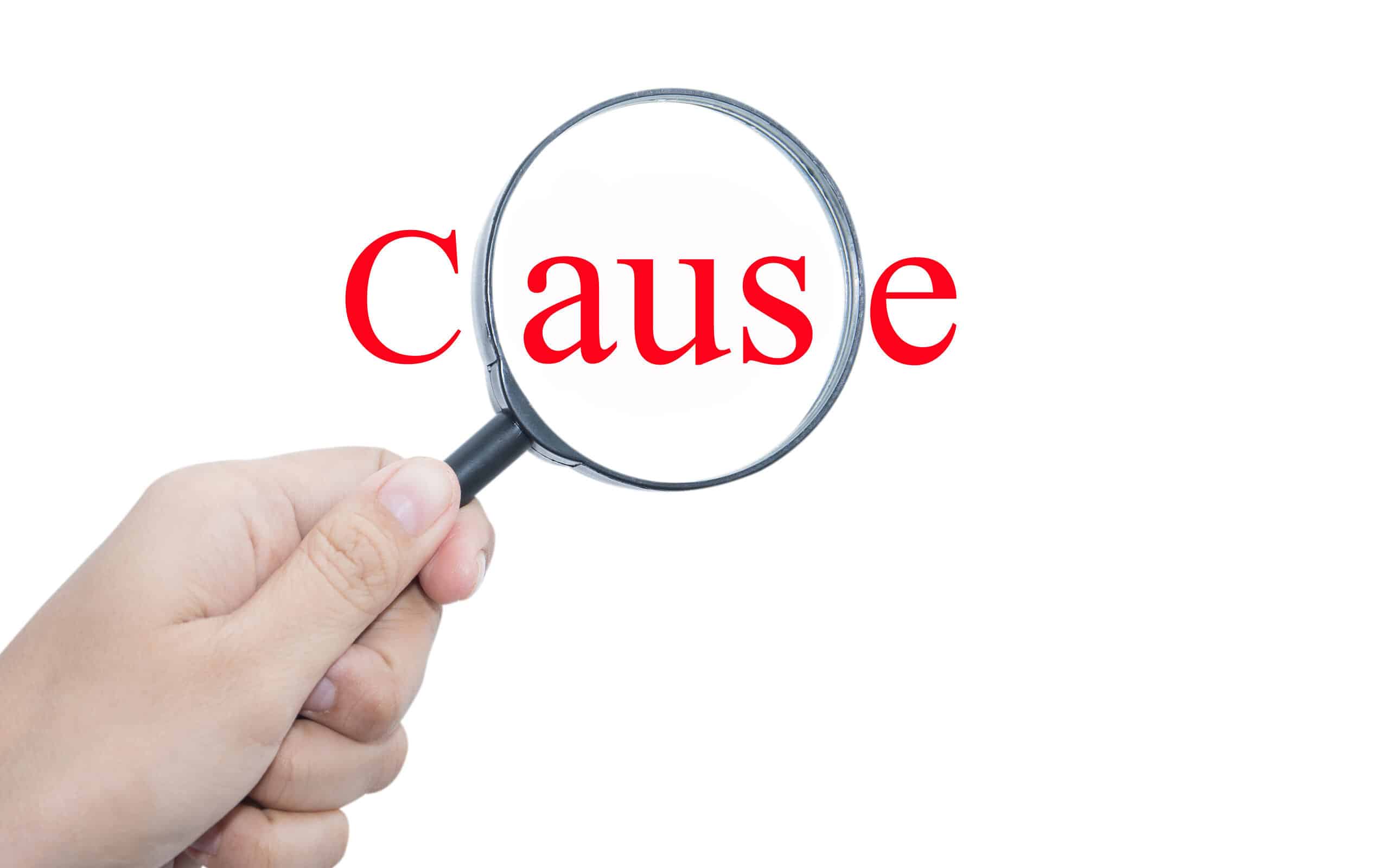 Causes Of Death After Stem Cell Transplant