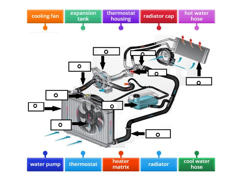 Cooling system - Labelled diagram - Identify The Arrows That Represent The Process Of Cooling
