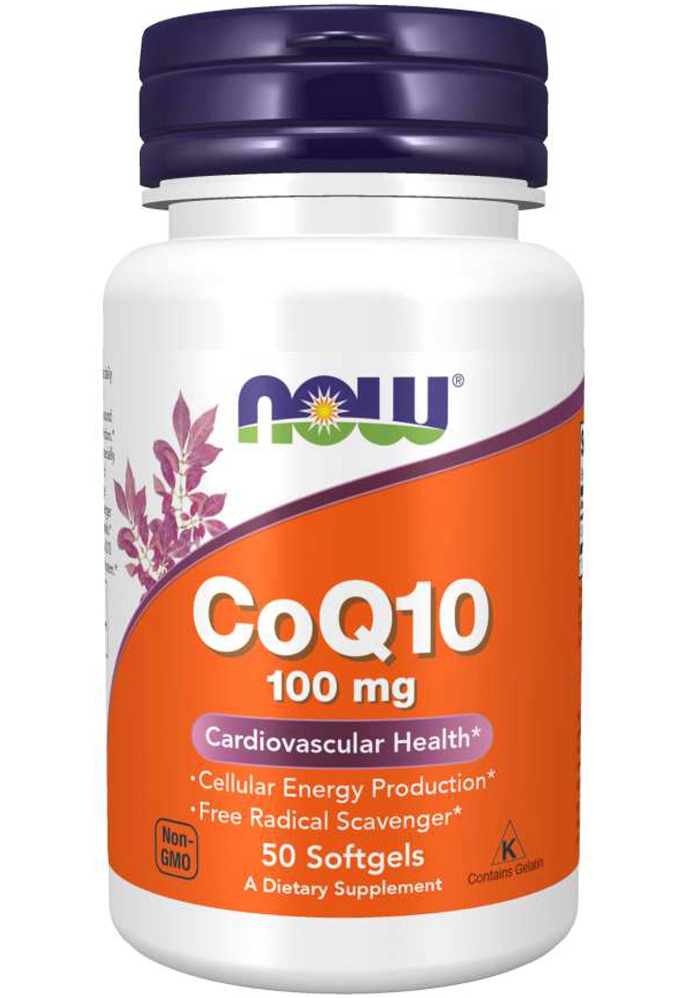 Coq10 Vs Fish Oil For Cholesterol