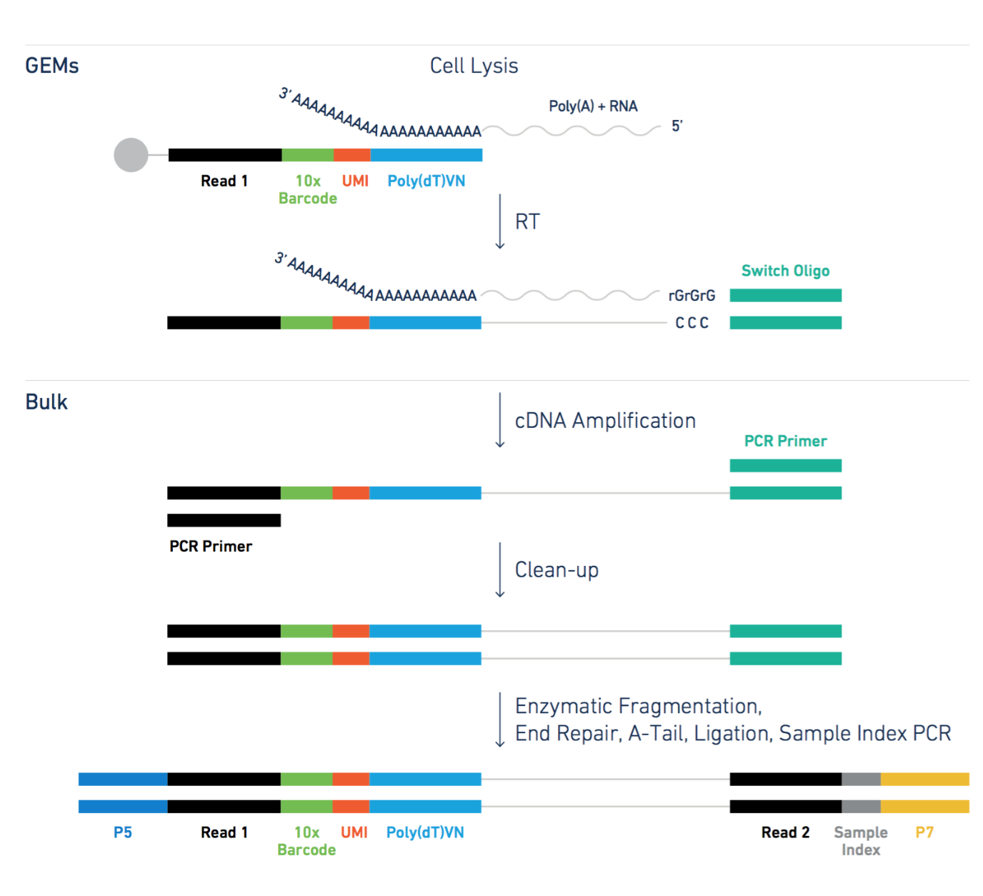 CoreGenomics: 10X Genomics updates - 10x Health System Reviews Consumer Reports