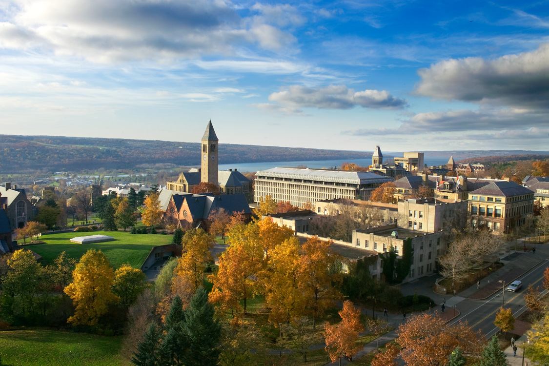 Cornell Center for Enervating NeuroImmune Disease - Cornell Regular Decision Release Date 2025