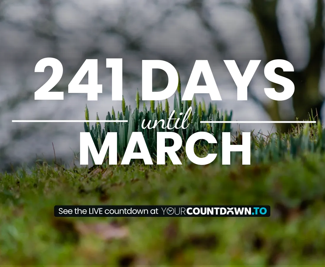 Countdown To March - How Many Months Until March 20