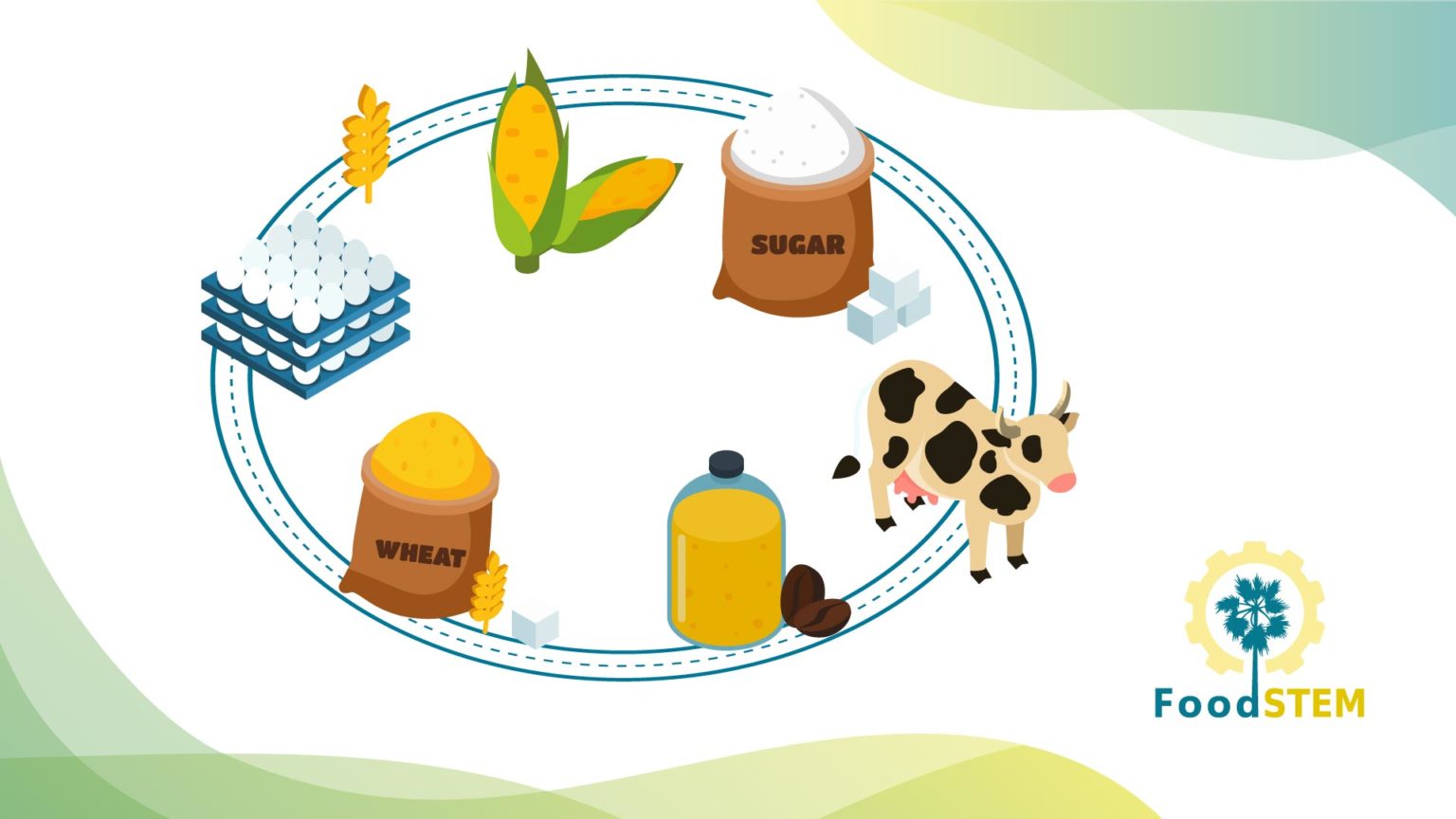 Course #5. Food storage and stabilization – Food STEM - Provides Temporary Storage Of Food Enzymes And Waste Products