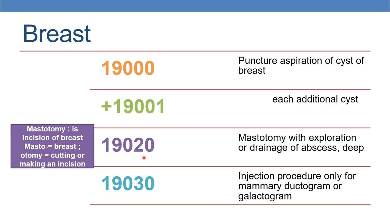 CPT CODING GUIDELINES FOR SURGERY INTEGUMENTARY SYSTEM PART 2A BREAST - Cpt Code For Diagnostic Breast Ultrasound