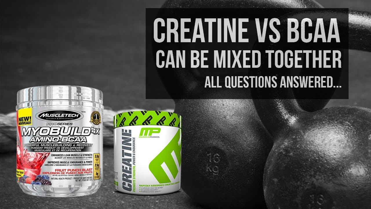 Can You Take Bcaas And Creatine