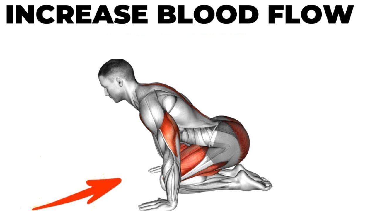 Daily Do These Pelvic Floor Exercises - YouTube - Increase Blood Flow To Pelvic Region Female
