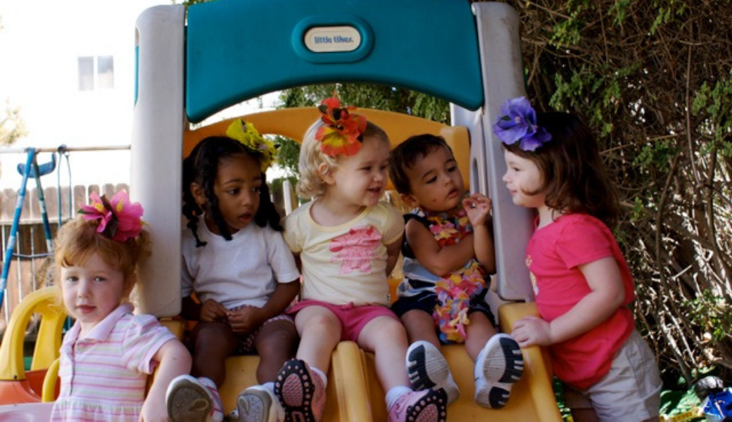 Day Care Center Valley Glen California - Doggie Day Care San Leandro Ca