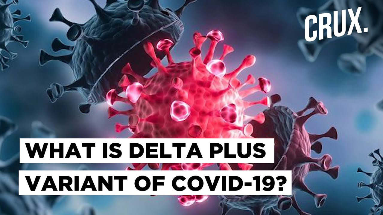 How Long Will Delta 9 High Last