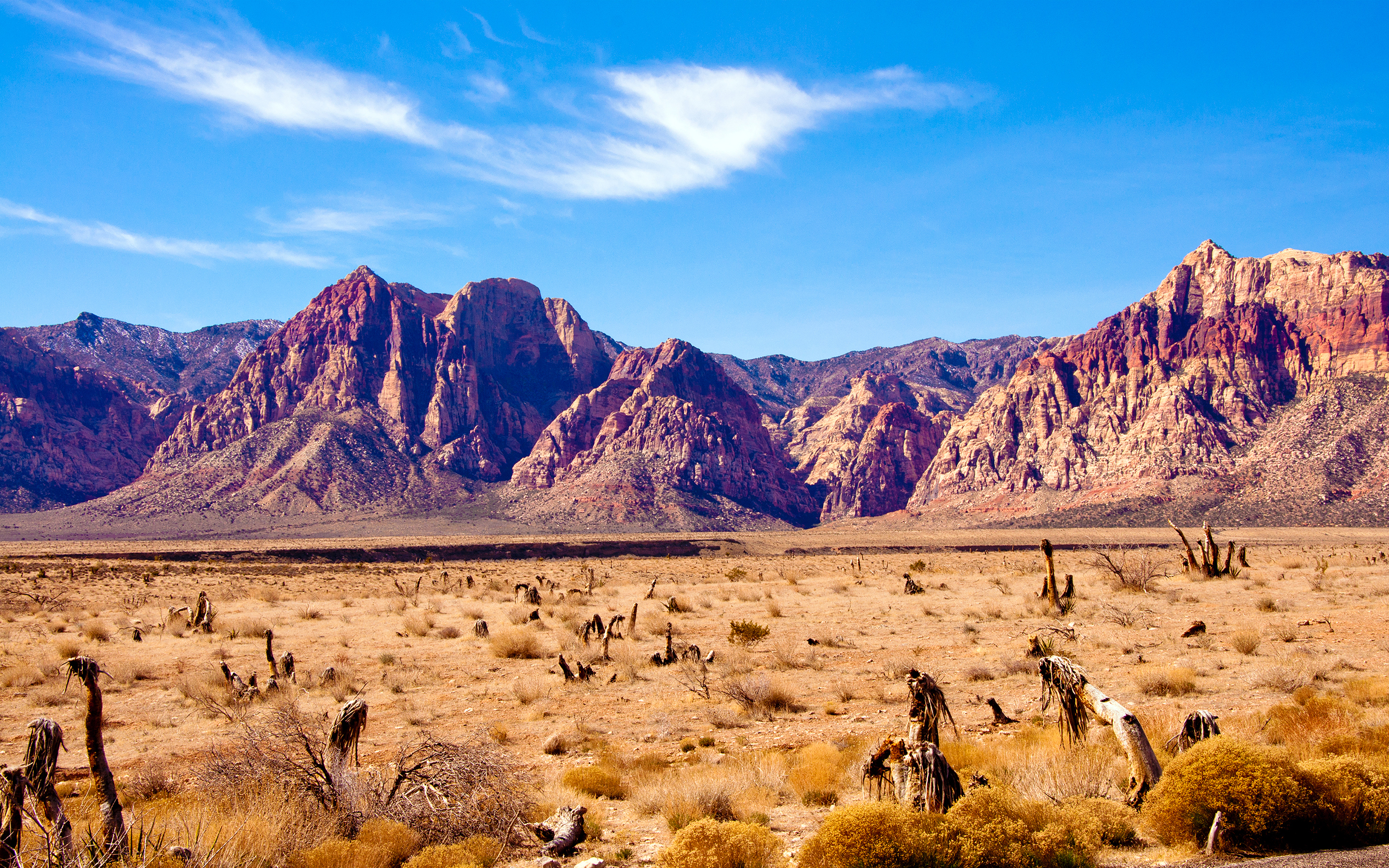 Desert in Nevada USA wallpapers and images - wallpapers, pictures, photos - Nevada Ag Launches Website For Reporting Social Security Payment Issues