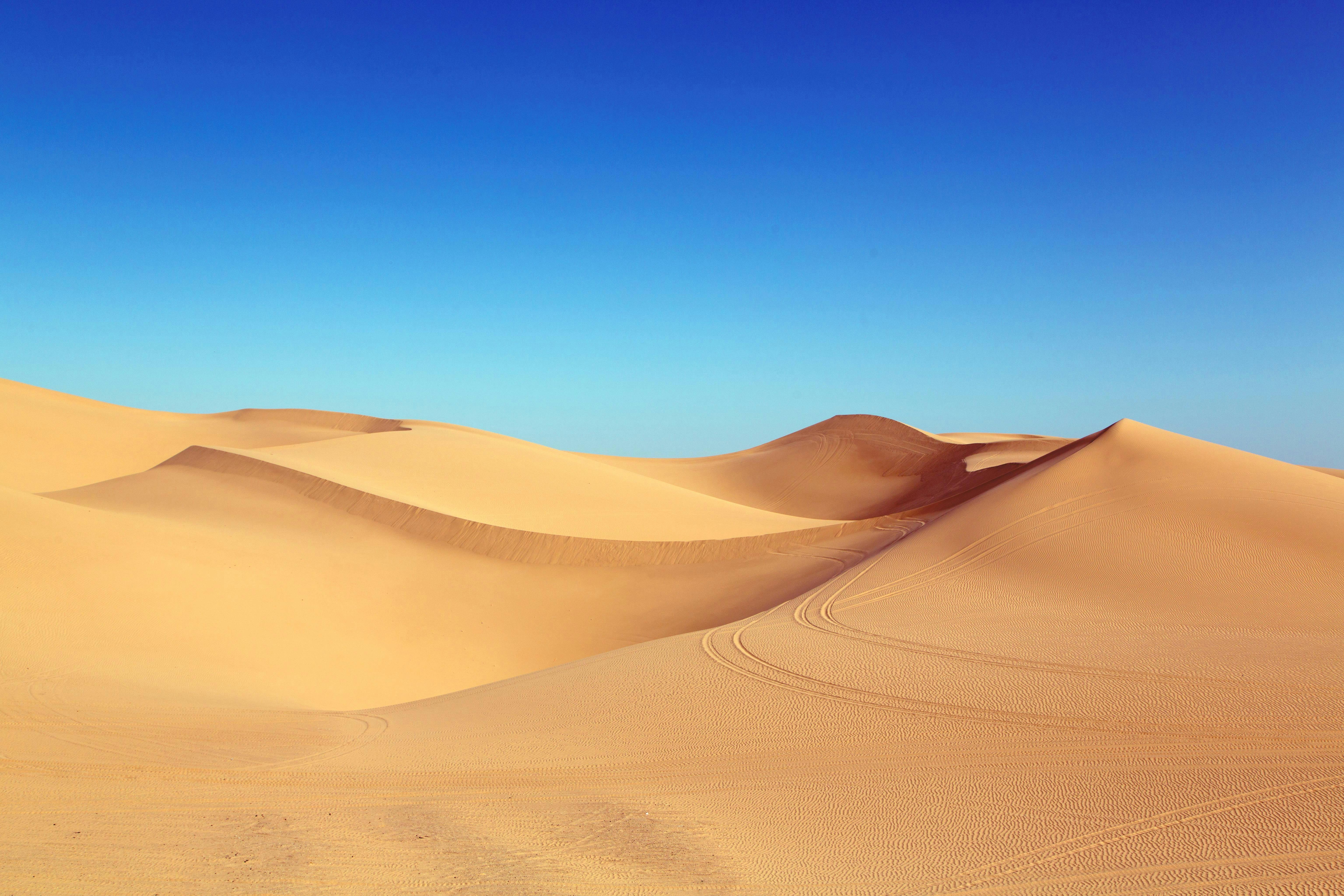 Desert pictures · Pexels · Free Stock Photos - Desert Paradise Resort In Las Vegas Nevada