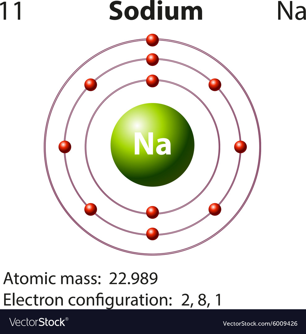 Diagram representation of the element sodium Vector Image - Sodium Lauryl Sulfate Free Toothpaste List