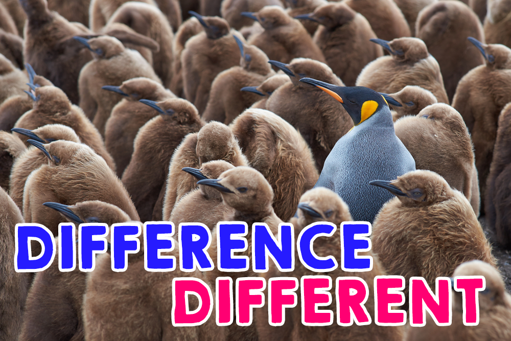 【differenceとdifferentの違いを解説】簡単な覚え方や関連表現を紹介 - ネイティブキャンプ英会話ブログ | 英会話の豆知識や情報満載 - Difference In Skin Tag And Wart