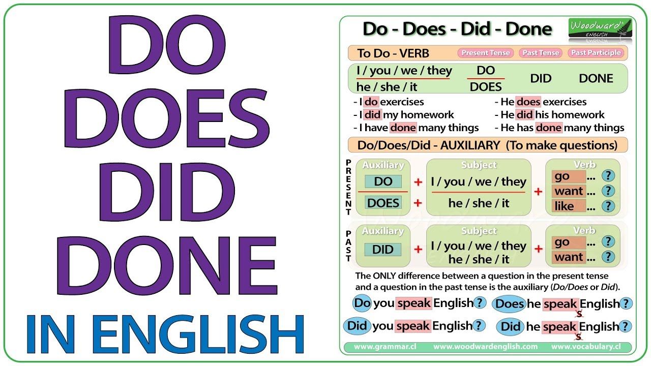 Do Does Did Rules - RebeccaminKaiser - How Did You Feel On D Aspartic Acid Reddit
