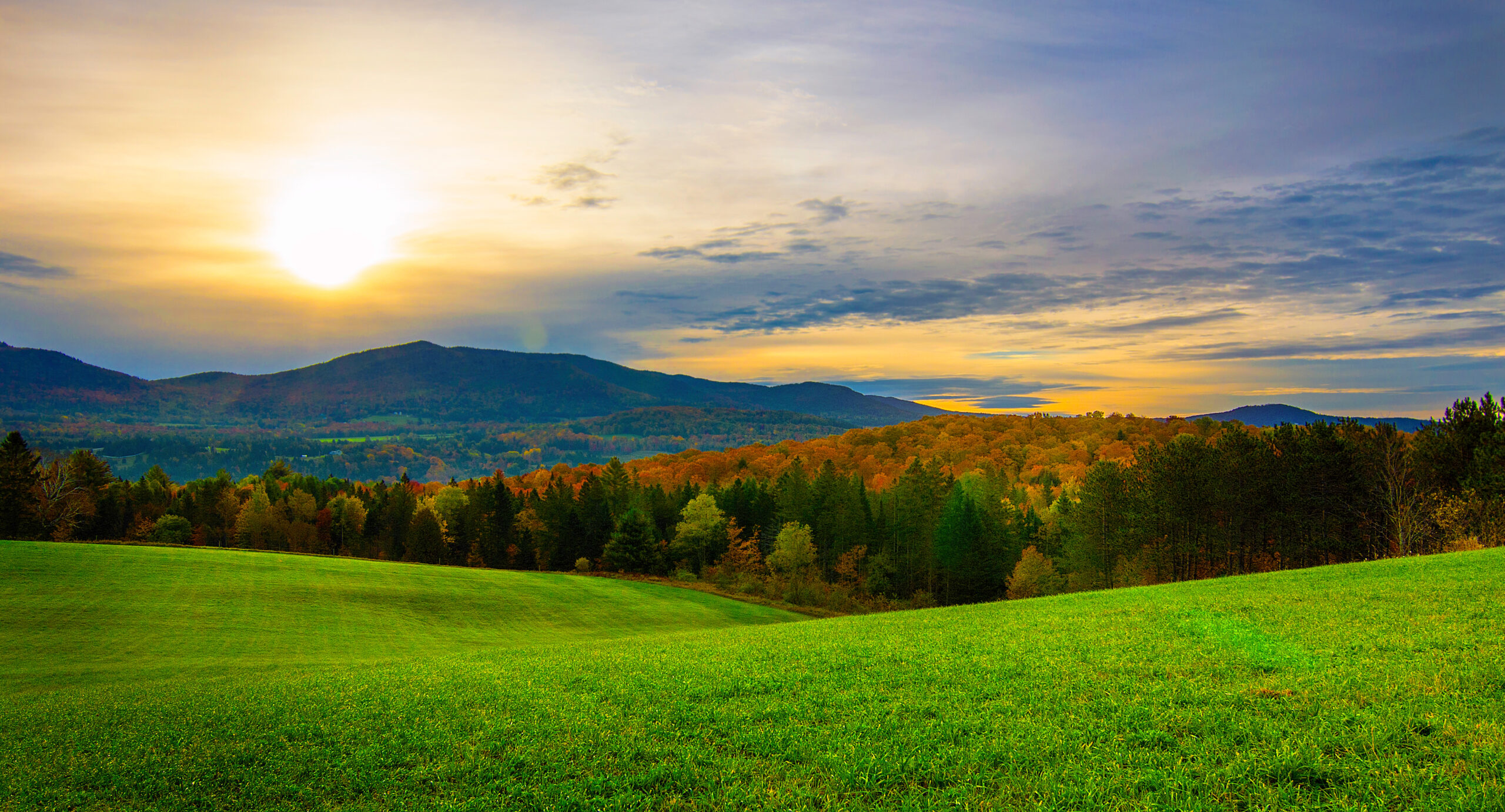 Do You Need a Land Professional? - National Land Realty News - Land Of Make Believe Promo Code
