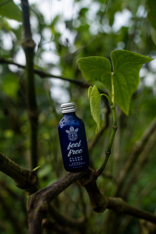 Does Kava Show Up On A Drug Test? | Botanic Tonics - Does Kava Show Up On A Drug Test