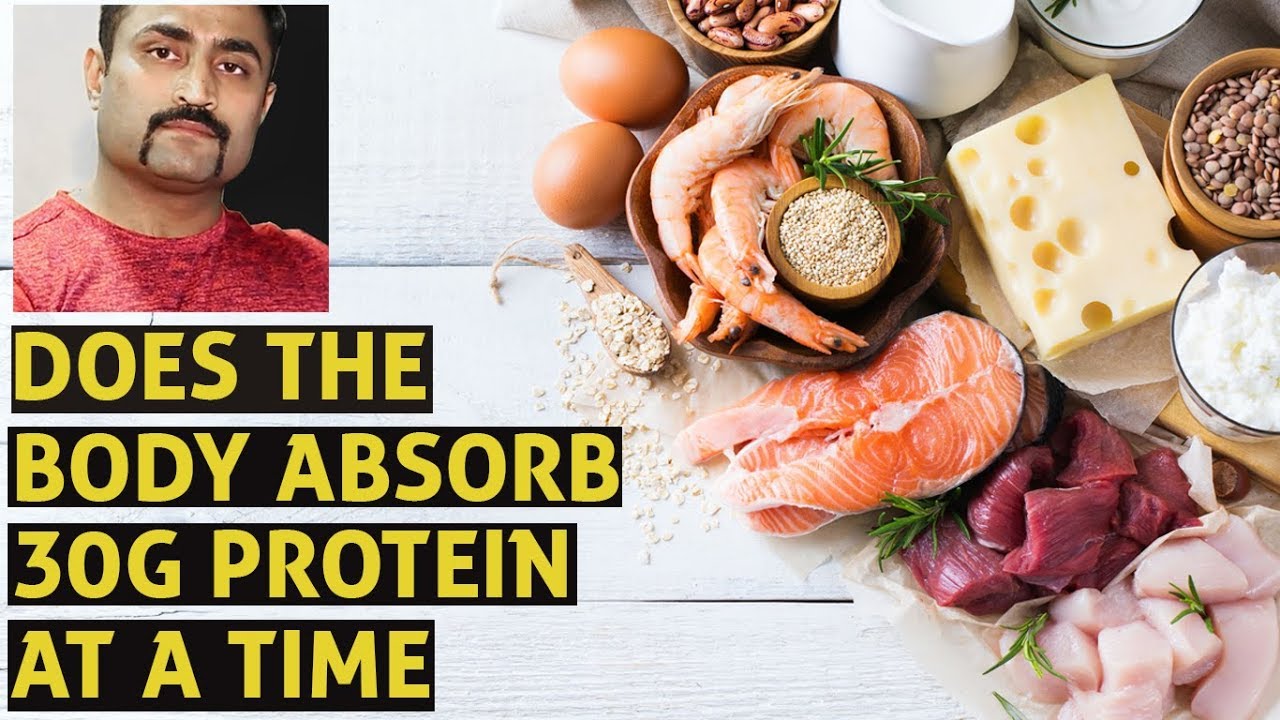 DOES THE BODY ABSORB 30G PROTEIN AT A TIME - YouTube - How Much Protein The Body Can Absorb At Once