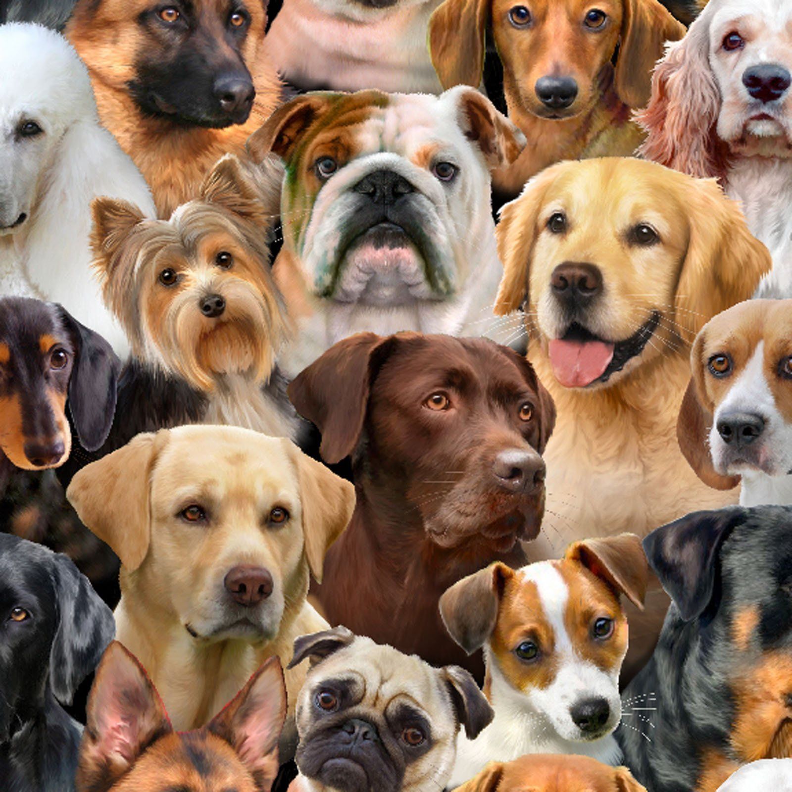 Dog breeds Collection - per yard- Elizabeth's Studio - Packed Dog - Can Dogs Smell Delta 9 Gummies