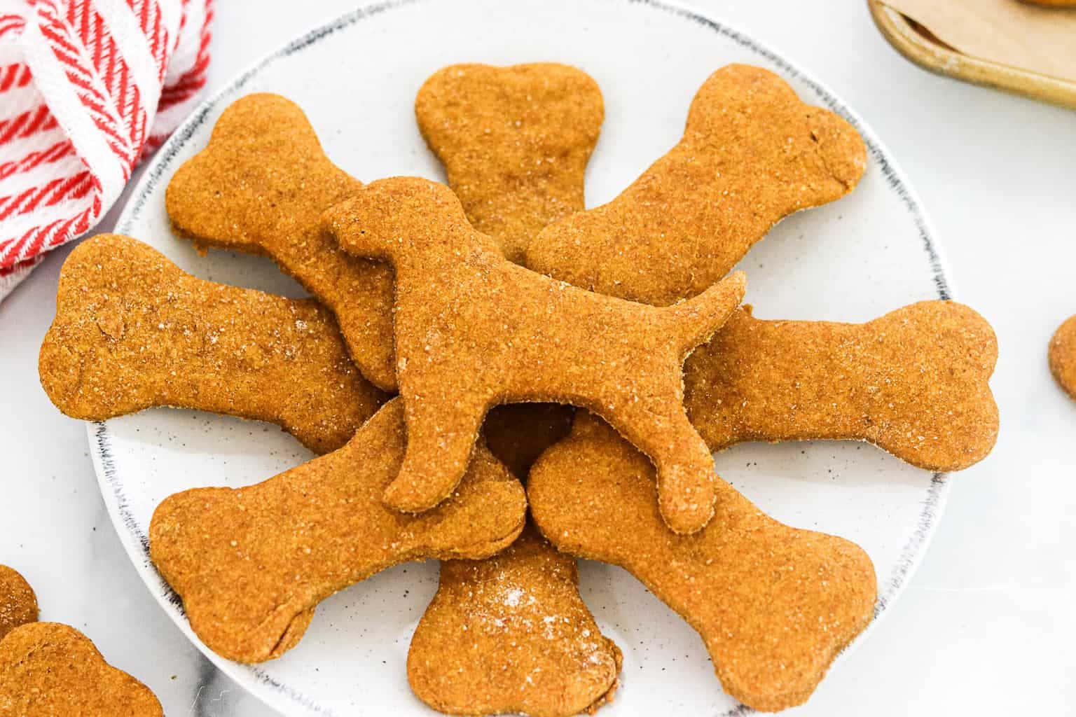 Download Dog Treat Pictures | Wallpapers.com - How To Treat Bv And Uti Together