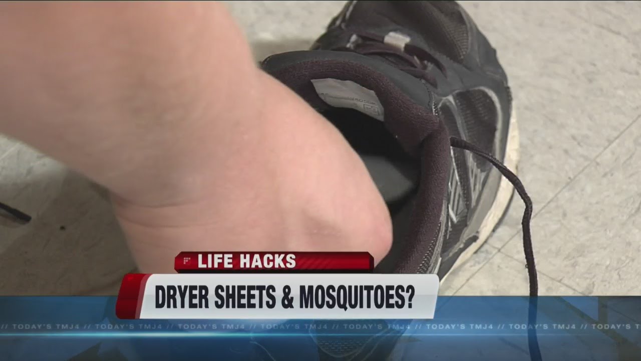 Dryer sheets as bug repellent - YouTube - Does Dryer Sheets Kill Bed Bugs