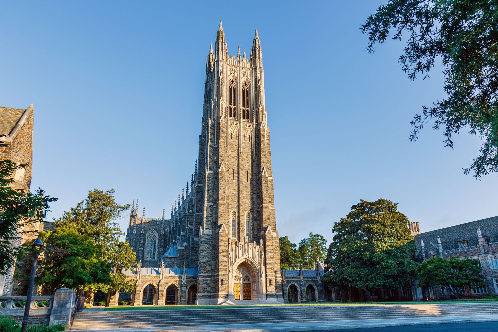 Duke University: Excellence in education, research, and innovation - Duke Department Of Population Health Sciences