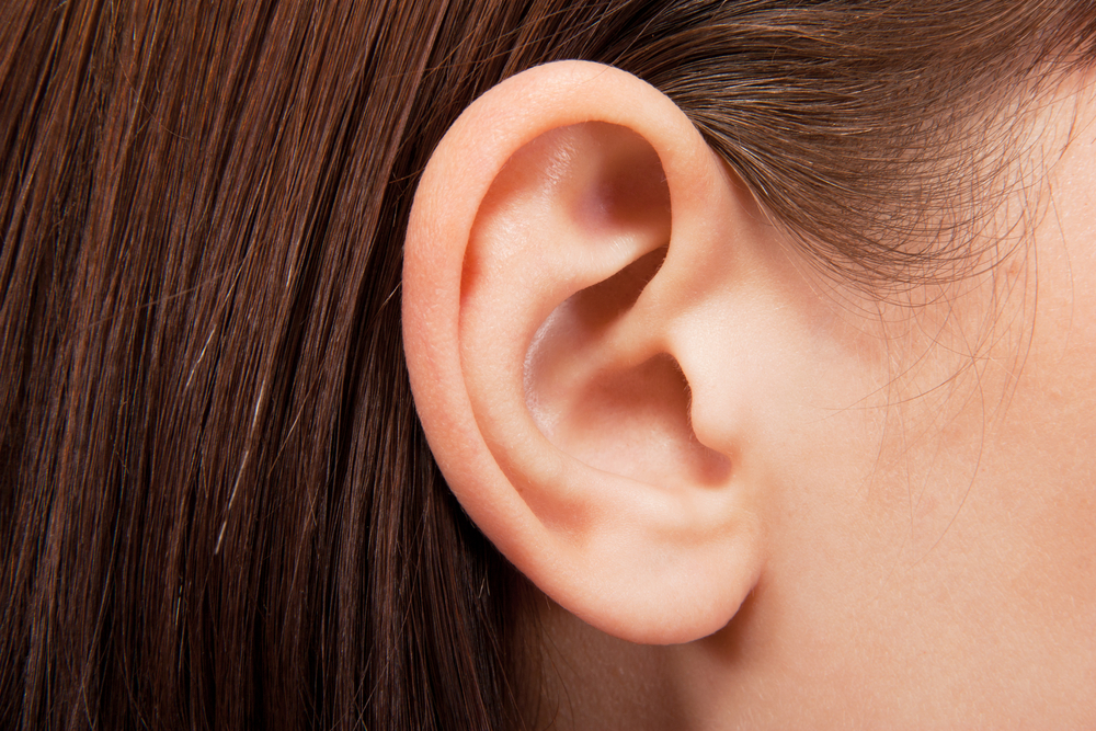 Ears: Facts, Function & Disease | Live Science - Ear Nose & Throat Associates Of New York Pc