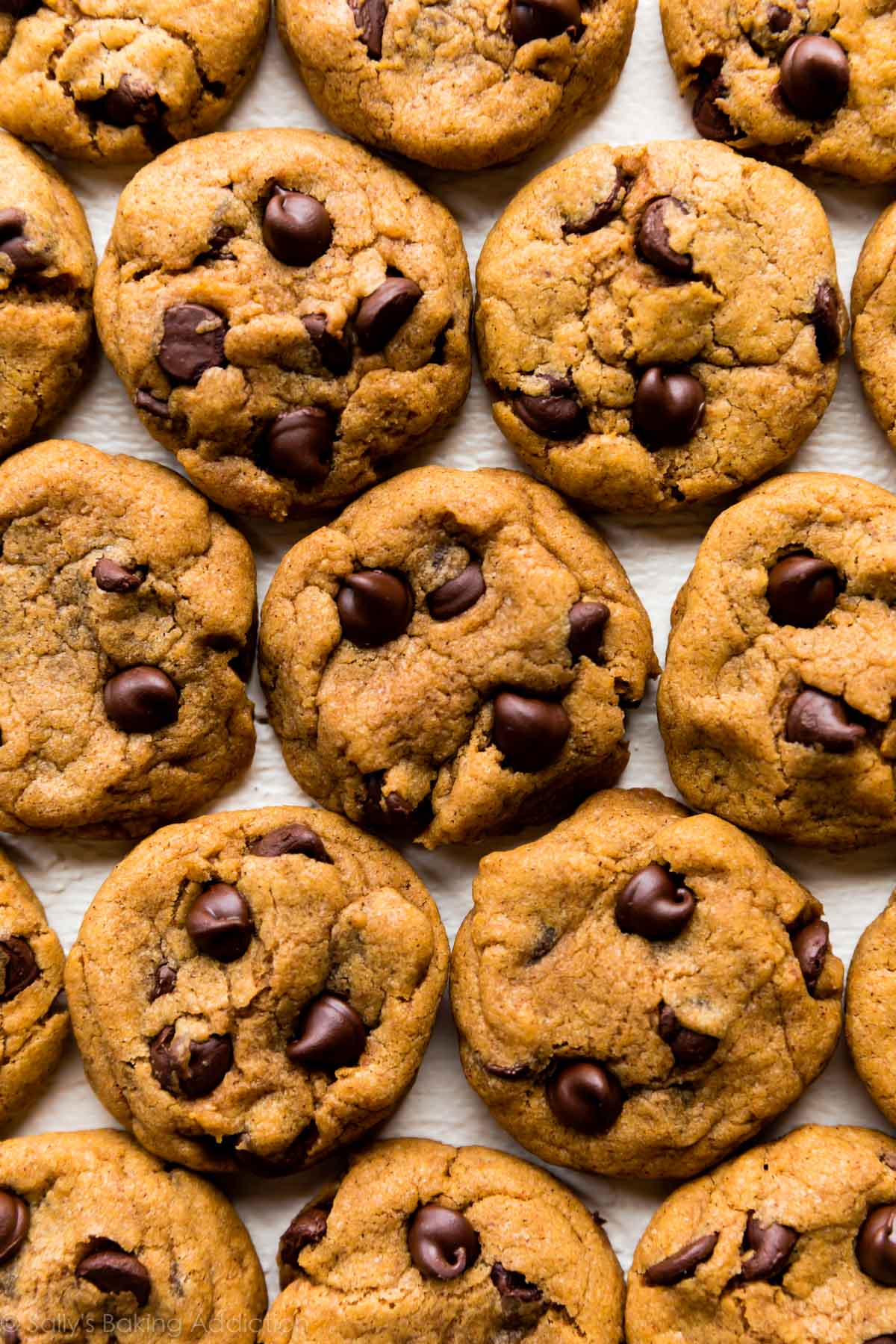 Egg Free Baking - Sally's Baking Addiction - Cookies On The Strip Las Vegas Dispensary