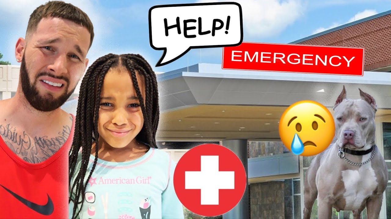 Rise Pet Health Emergency & Specialty Hospital