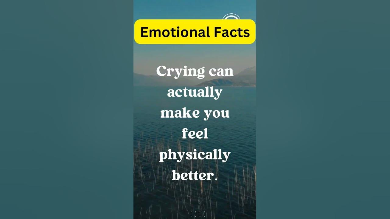 Emotional Fact - YouTube - Objective Facts Rather Than Emotional Impressions