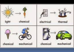 Energy Transformations | Mastering Biology Quiz - Energy Transformations In Organisms Are Always Associated With